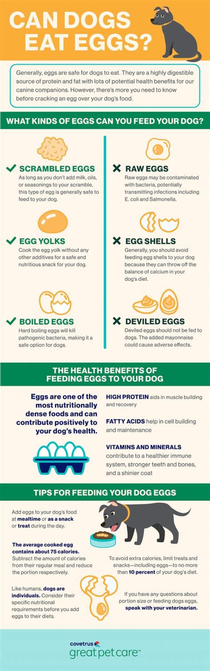 Are eggs good for dog?