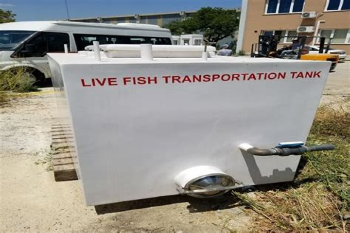 Are fish sad in tanks?