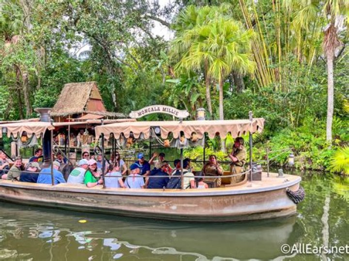 Are there spiders in Jungle Cruise?