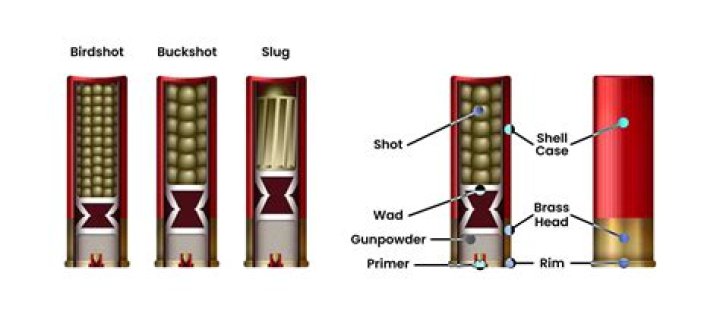 Can a shotgun go off if dropped?