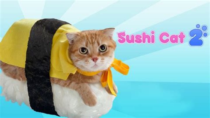 Can I give my cat sushi?