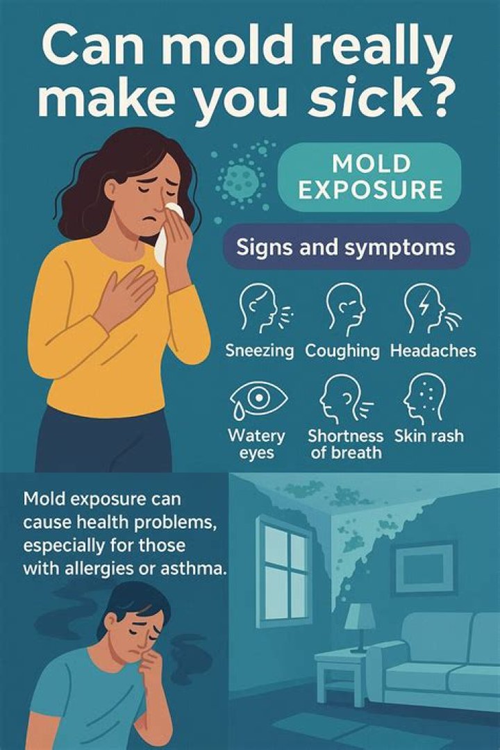 Can inactive mold make you sick?