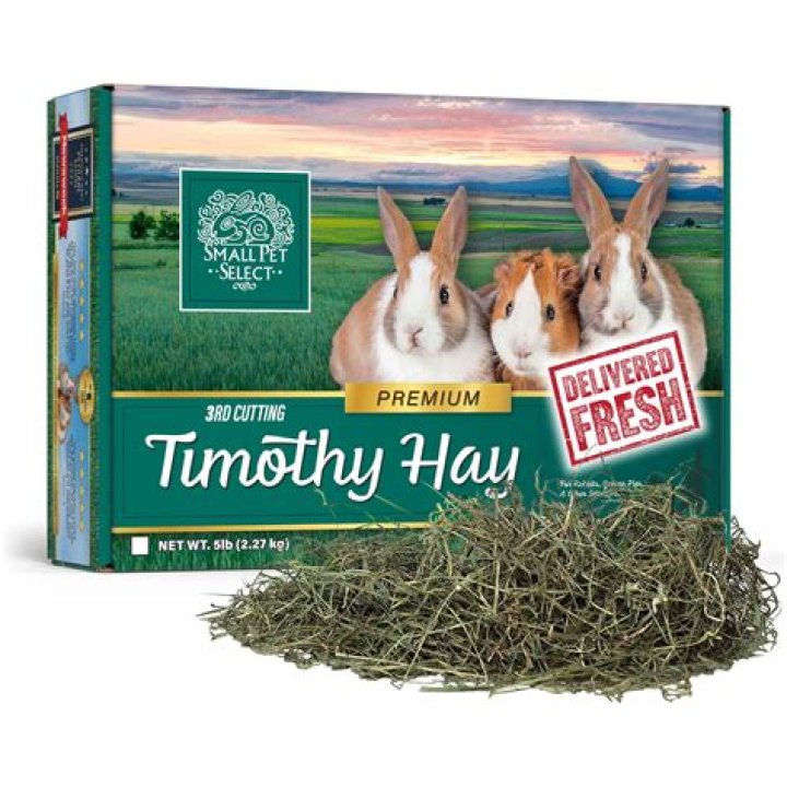 Can rabbits just eat timothy hay?