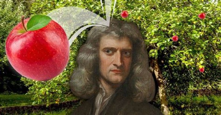 Did an apple really fall on Isaac Newton's head?