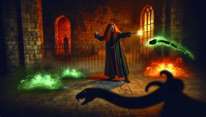 Did Ron use Avada Kedavra on Nagini?
