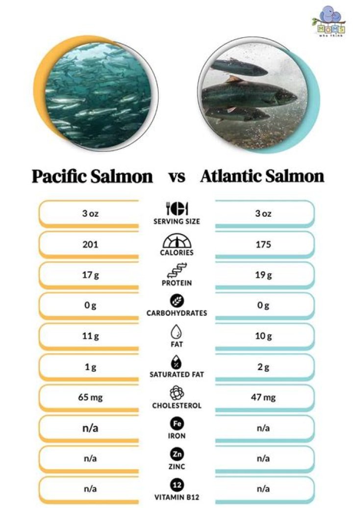 Do Atlantic and Pacific salmon taste different?
