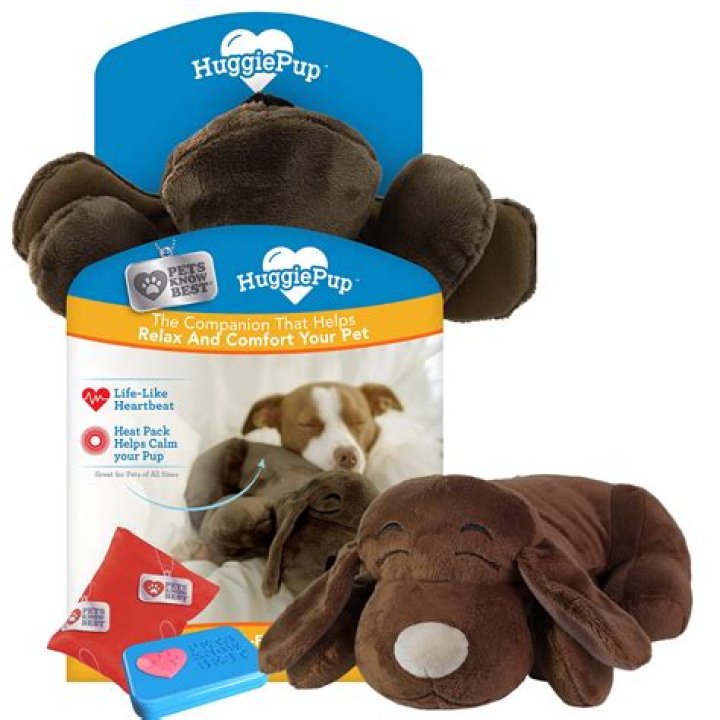 Do dogs cuddle with pack leader?