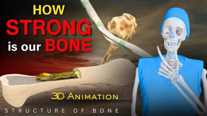 Do martial artists have stronger bones?