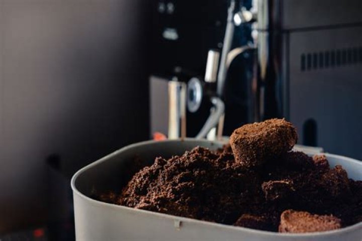 Do used coffee grounds attract bugs?