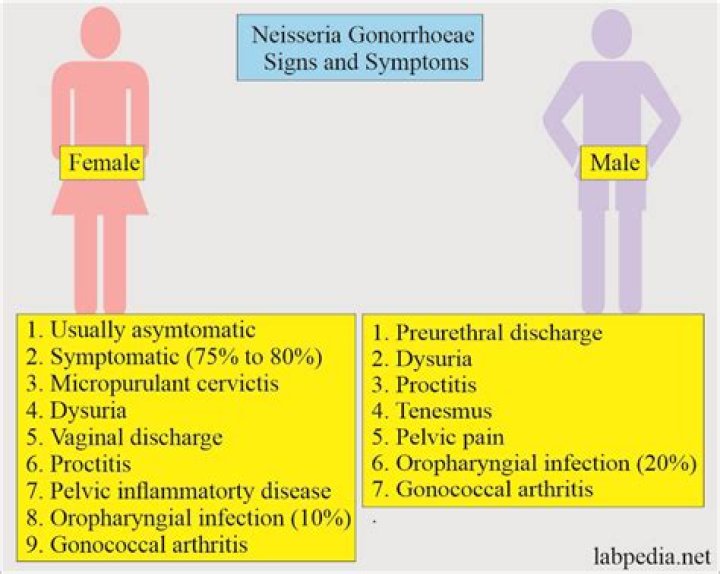 Does gonorrhea smell male?