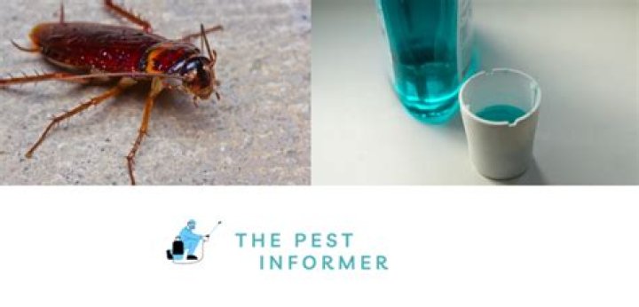 Does Listerine test on animals?
