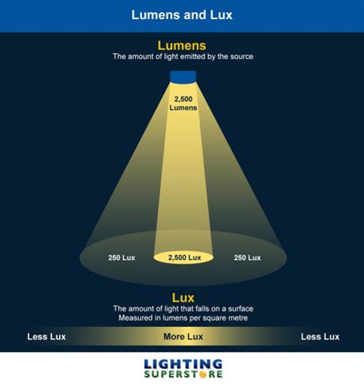 Does more light equal more yield?