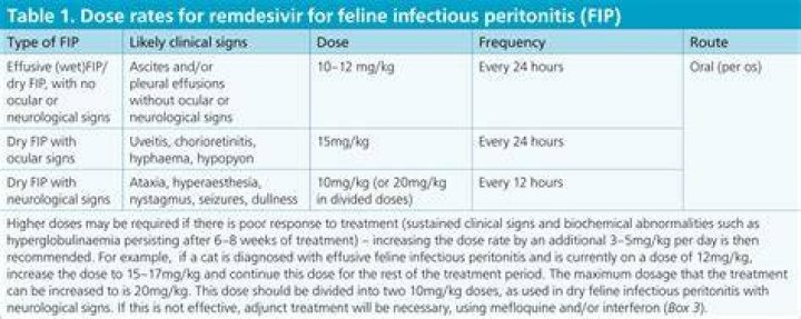Does remdesivir cure FIP?