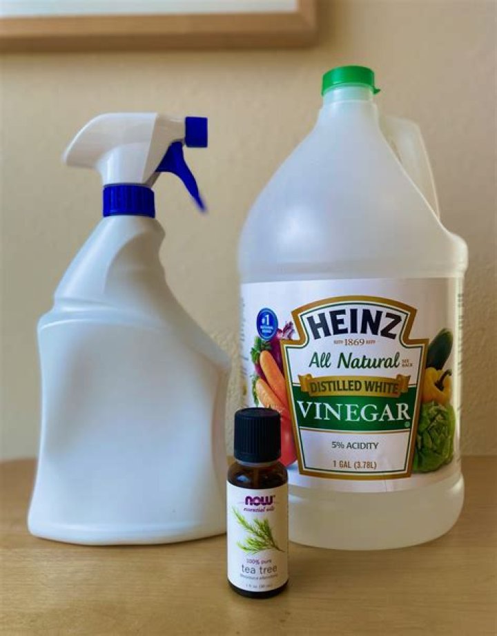 Does white vinegar repel rodents?