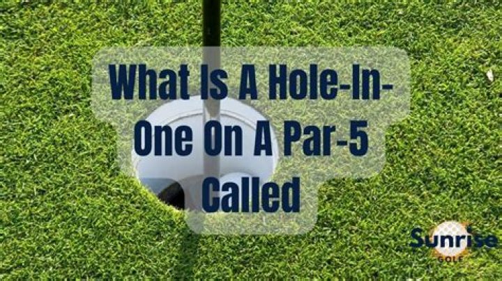 Has anyone ever hit a hole in one on a par 5?