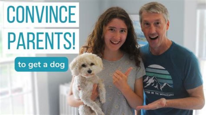 How do I convince my parents to let me get a dog in college?