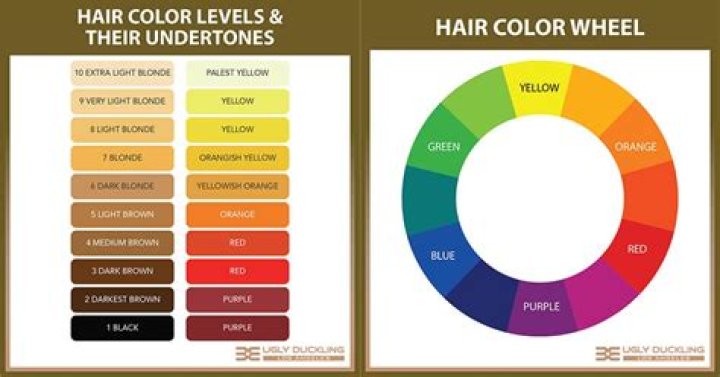 How do I tell my hairdresser what color I want?