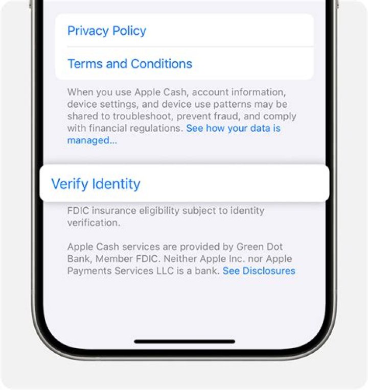 How do I verify my domain for Apple Pay?