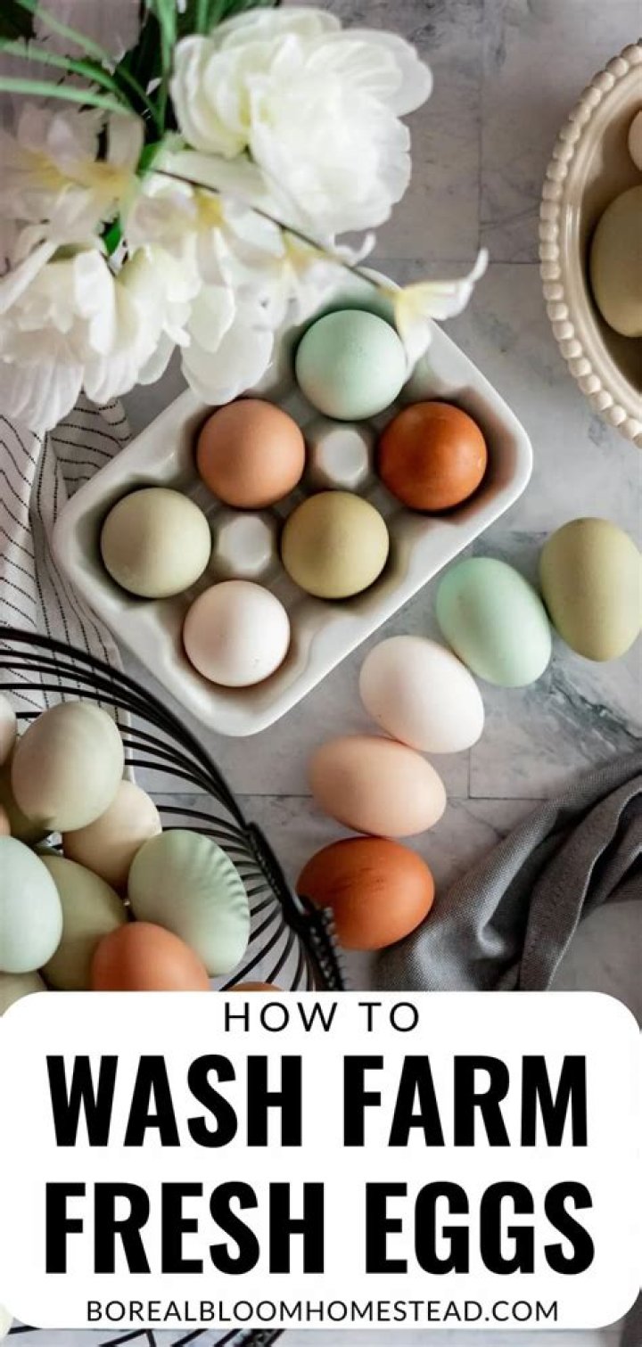 How do you clean fresh eggs without removing blooms?