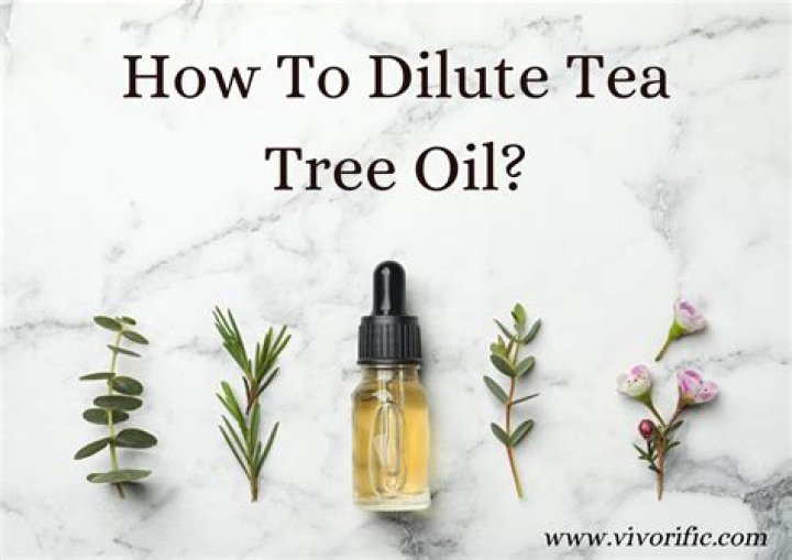 How do you dilute tea tree oil with water for piercings?