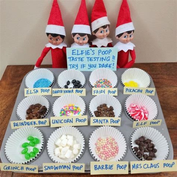 How do you make elf pet food?