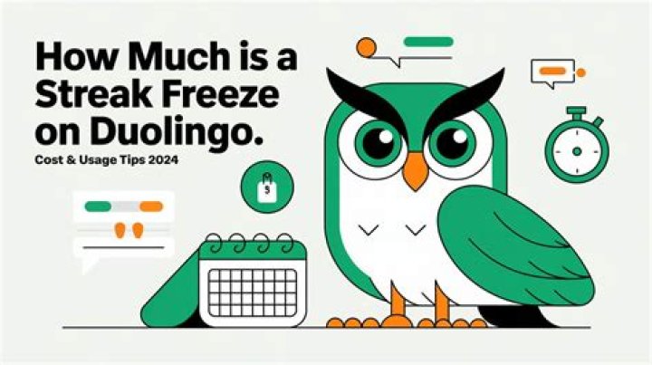 How far will Duolingo get you?