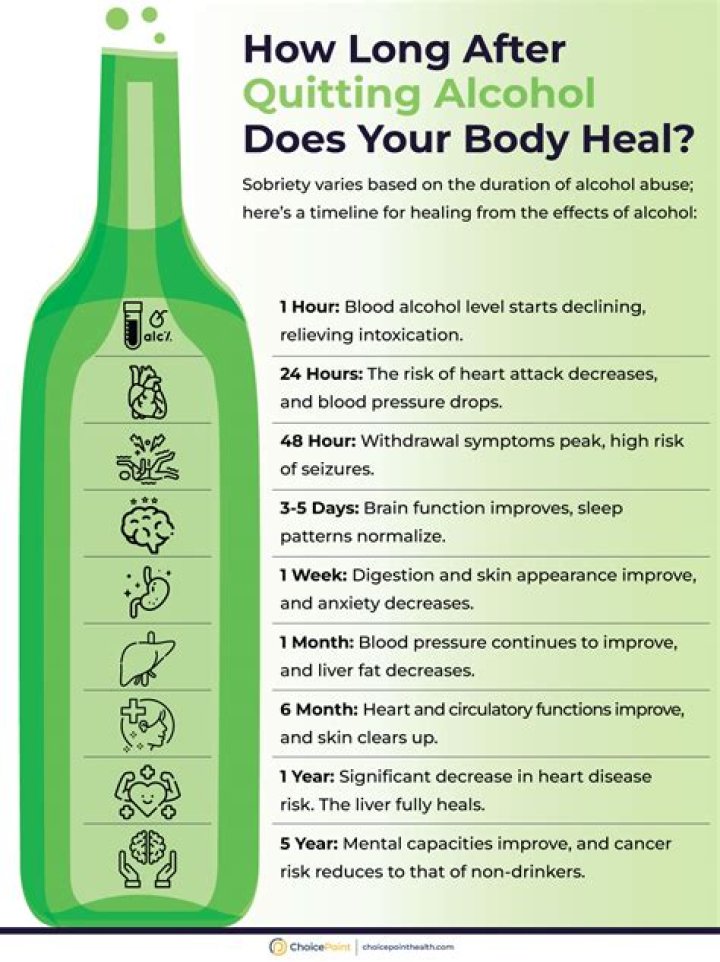 How fast does your liver heal after you stop drinking?