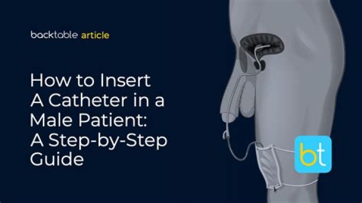 How is a catheter inserted in a male?