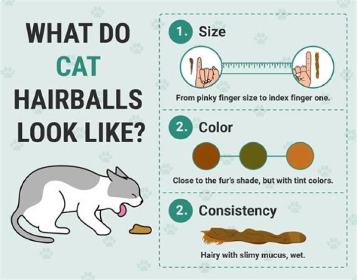 How long can it take for a cat to pass a hairball?
