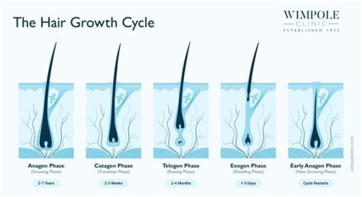 How long does it take to see results from dry brushing?