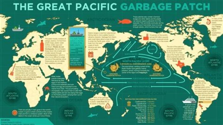 How long would it take to clean the ocean?