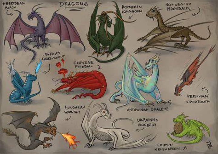 How many dragons are in Harry Potter?
