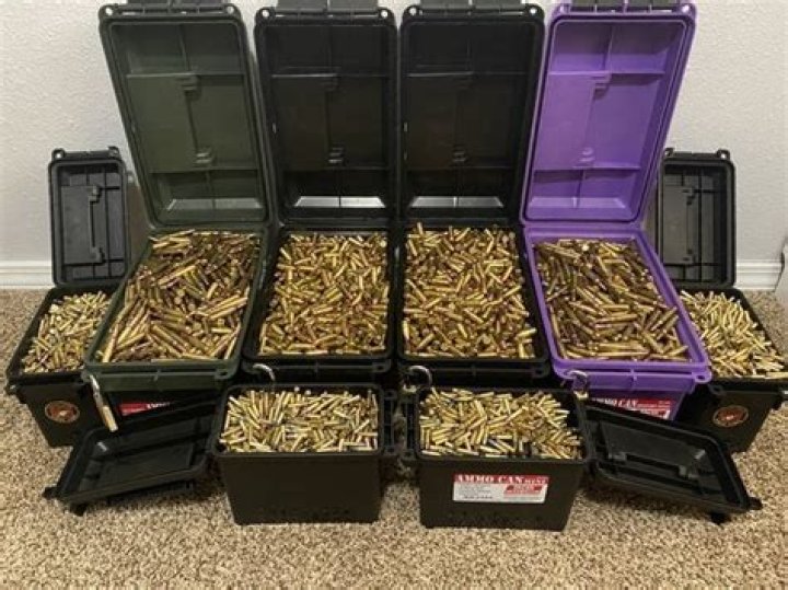 How many rounds Should I stockpile?