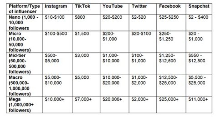 How much does an influencer with 1m followers make?