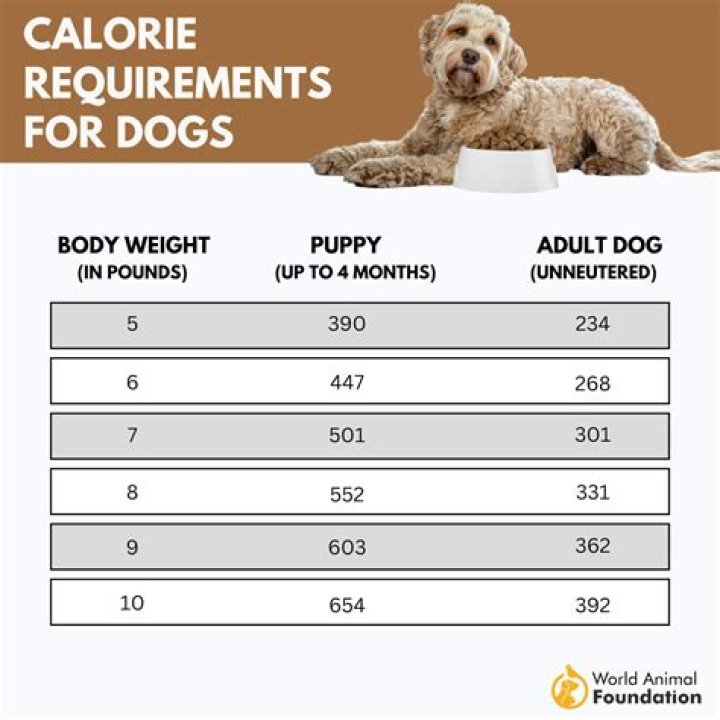 How much Mylanta can I give my 50 pound dog?