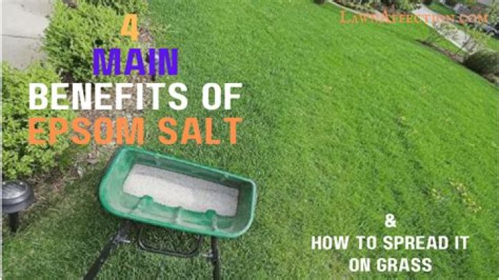 How often should I use Epsom salt on my lawn?