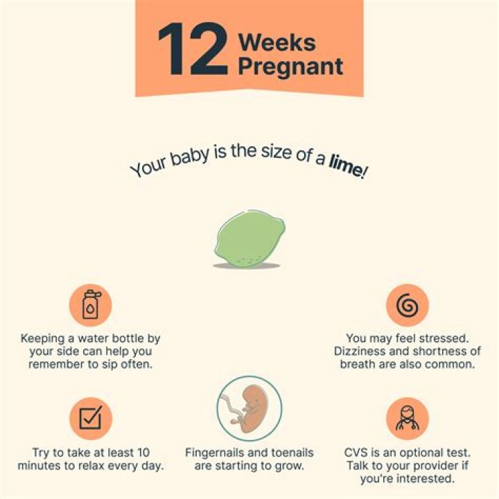 Is 12 weeks the same as 3 months?