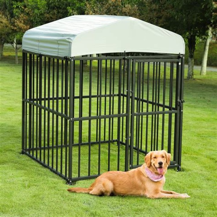 Is a dog box sequential?