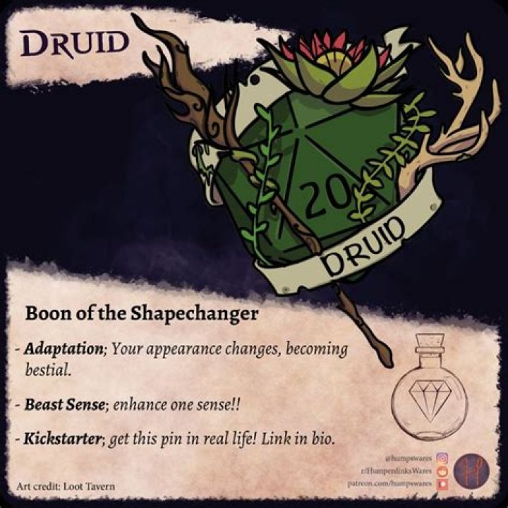 Is a druid a Shapechanger?