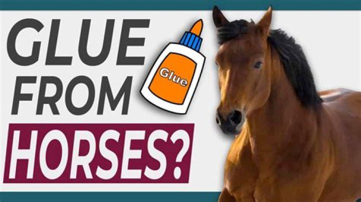 Is Elmer's glue made out of horses?