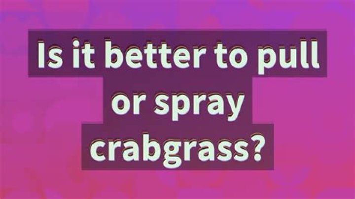 Is it better to pull or spray crabgrass?