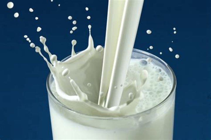 Is milk a veg?