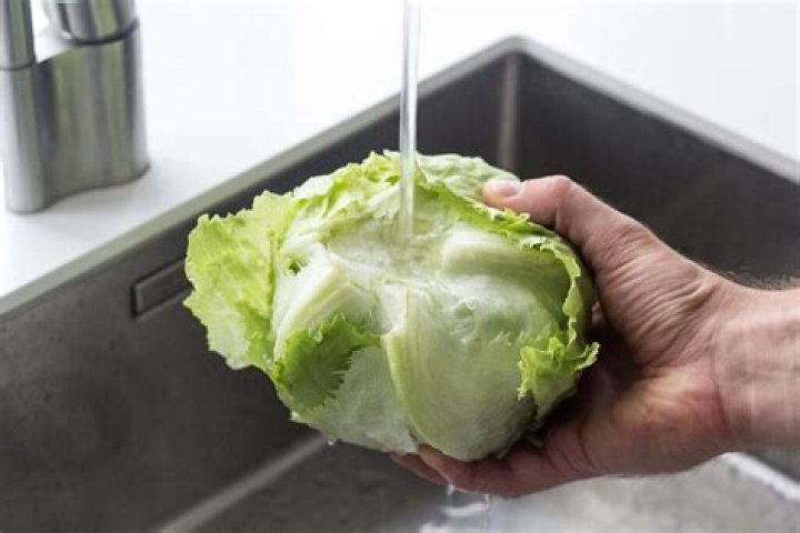 Should you wash iceberg lettuce before eating?