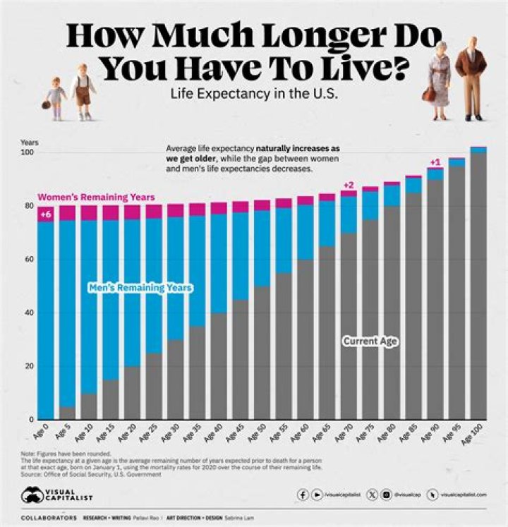 What's the average lifespan of a pig?