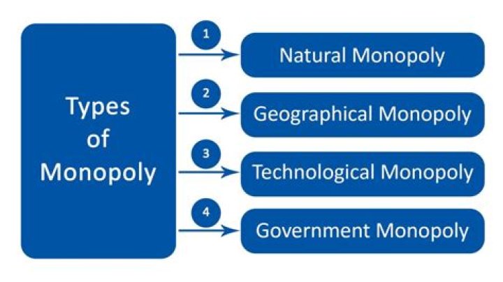 What are 4 types of monopolies?