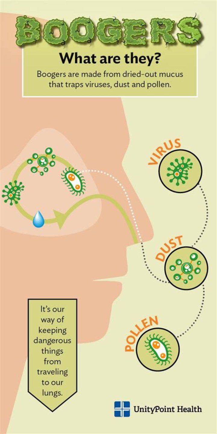 What are in boogers?