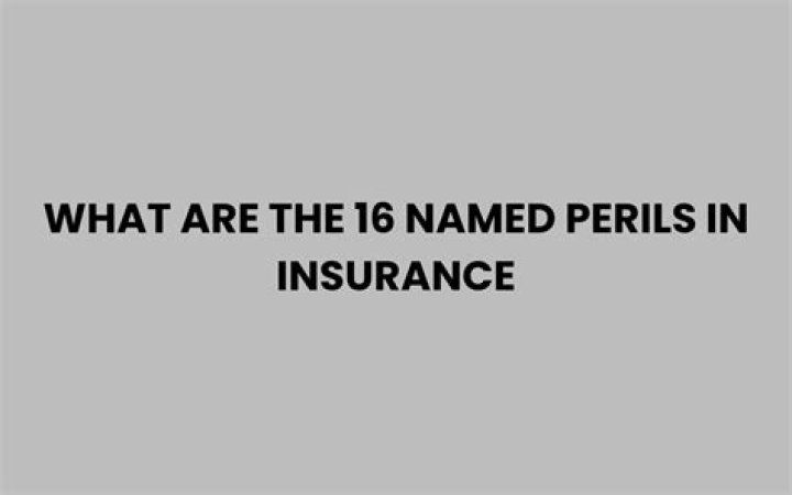 What are the 16 perils?