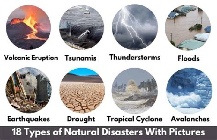 What are the 4 types of disaster?