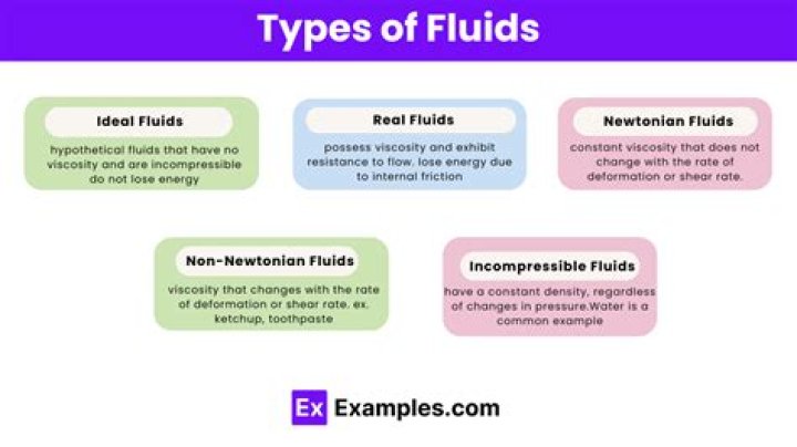 What are the 5 types of fluids?