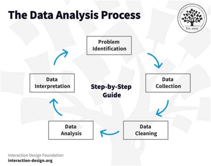 What are the six phases of data analysis?